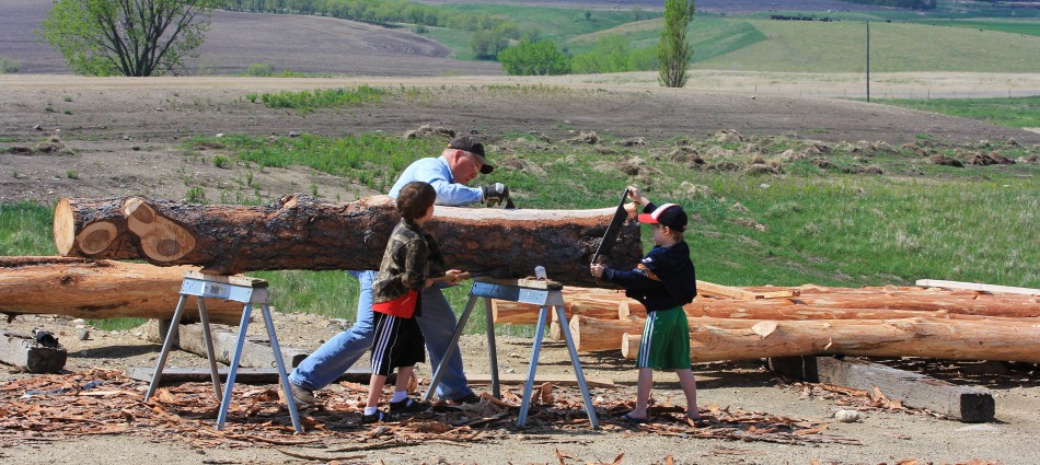 Log Peeling