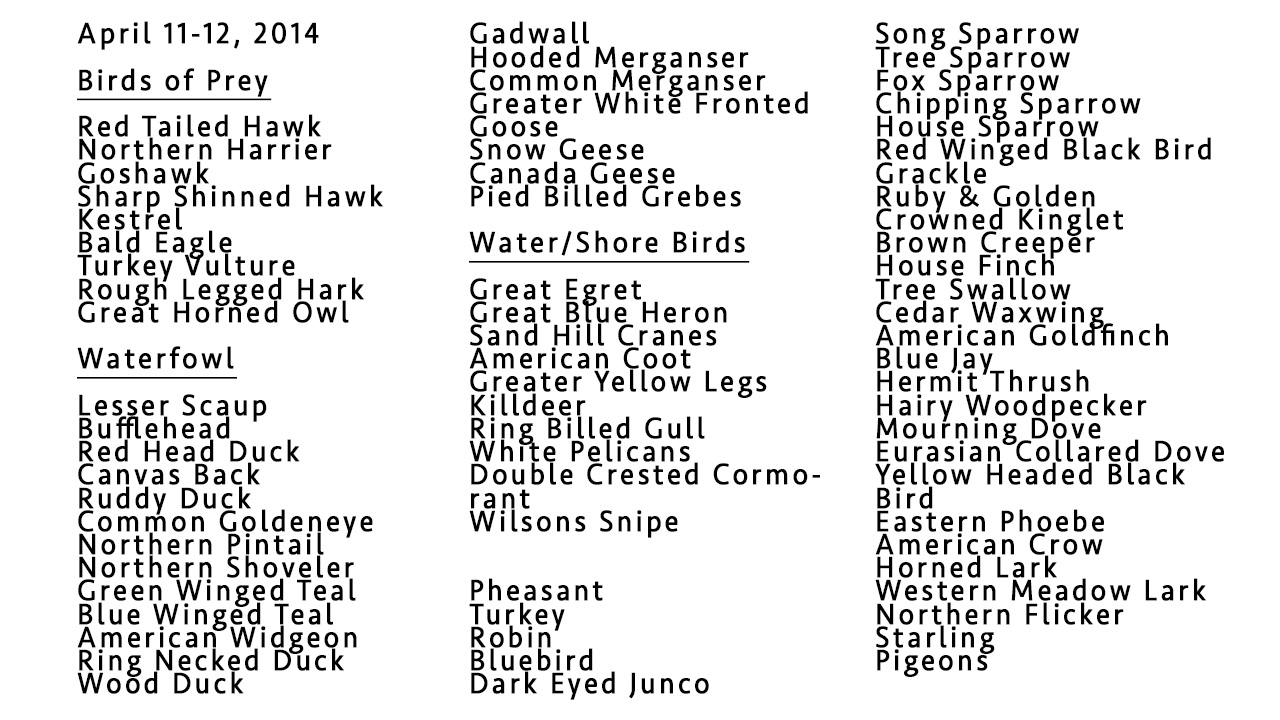 List of Birds 2014