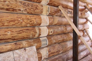 Log Wall
