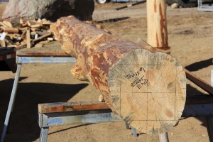Truss Log