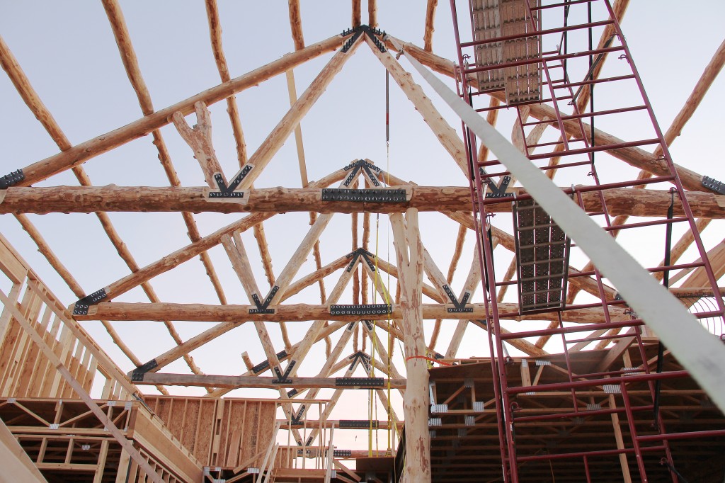 Inside View of Trusses & Purlins