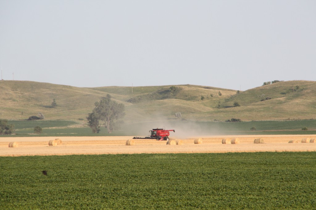 Joe Breker harvests wheat below Coteau des Prairies