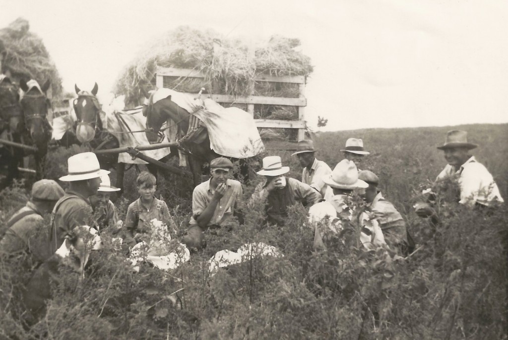Clarence (center) and younger brother Ralph working with a threshing crew